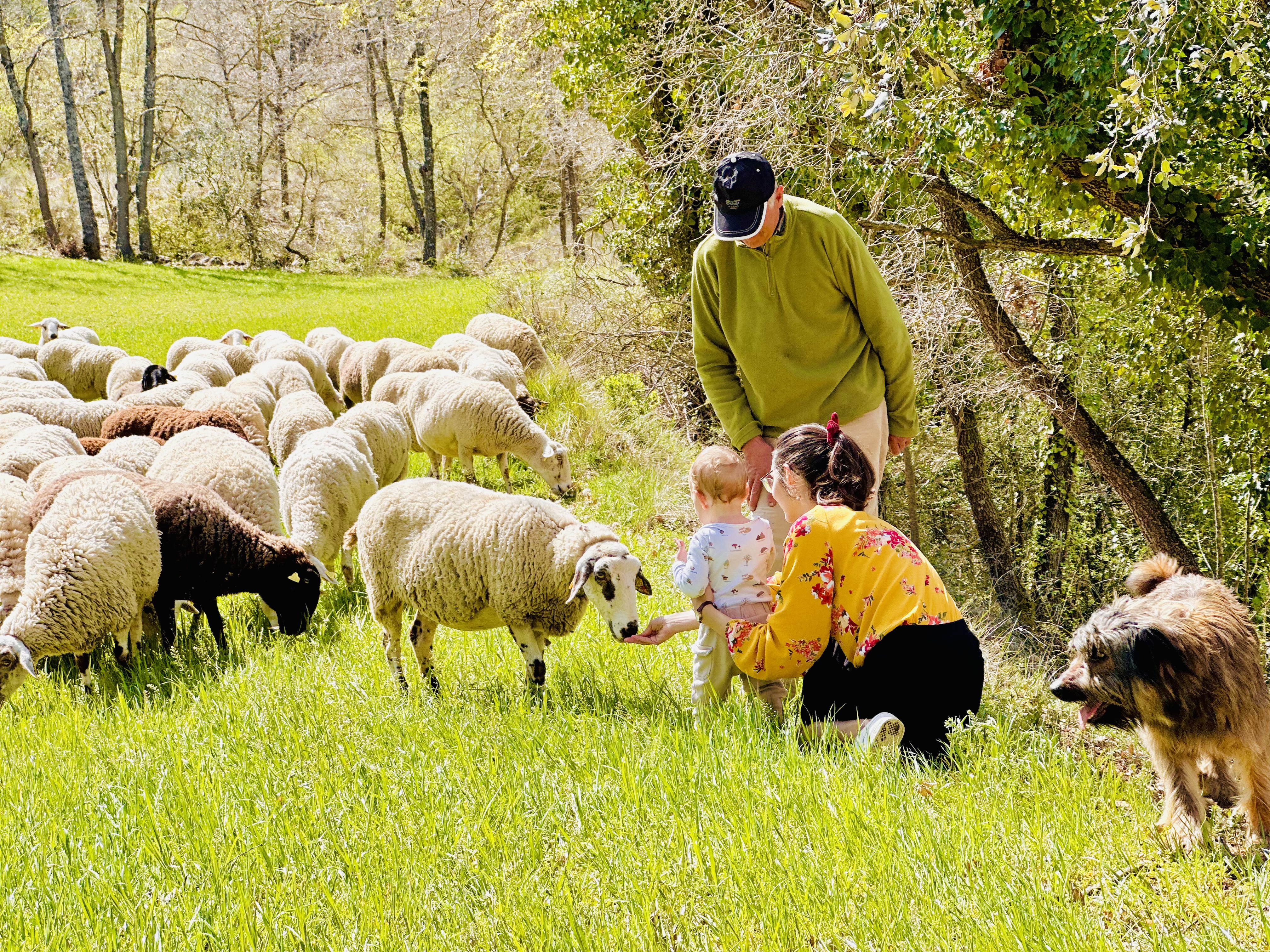 Agri-Gigas Connectivitat Rural que Funciona